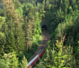 Schwarzwaldbahn Hohenacker-Tunnel